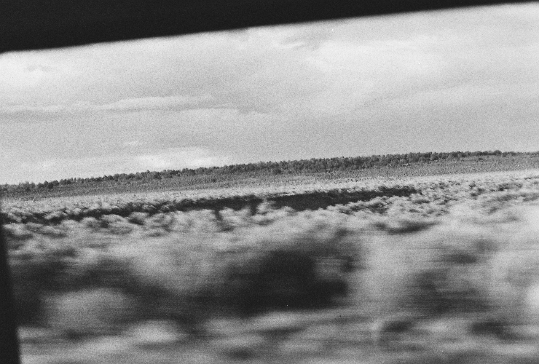 Landscape Photograph of Field